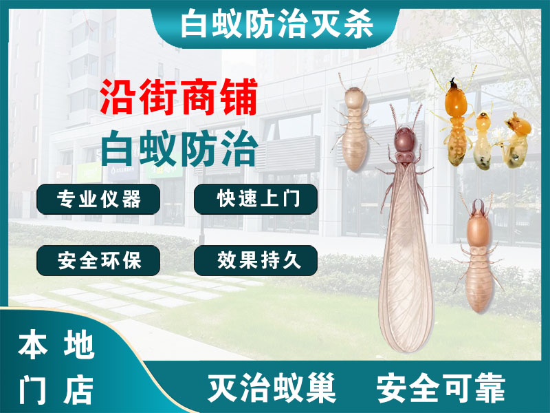 平阳县沿街商铺白蚁防治
