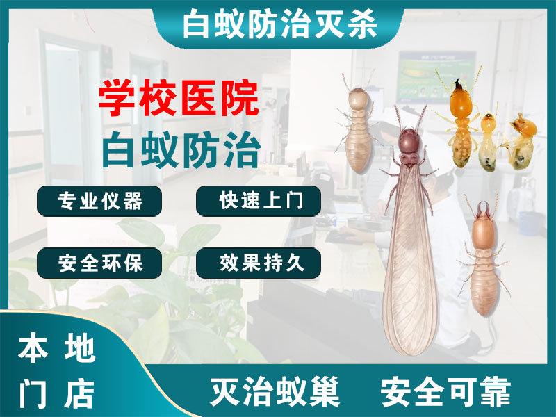 平阳县学校医院白蚁防治