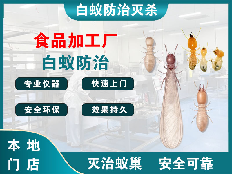 平阳县食品加工厂白蚁防治