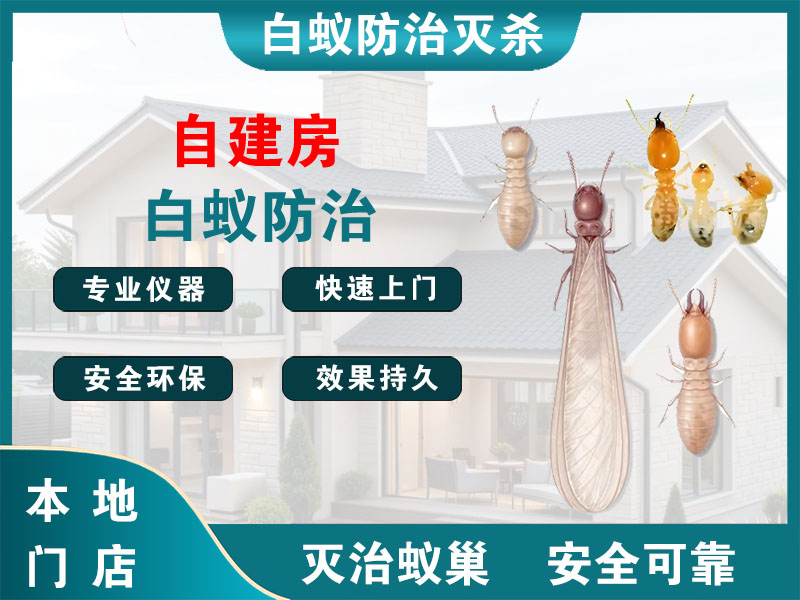 平阳县自建房白蚁防治