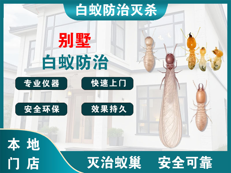 平阳县别墅白蚁防治